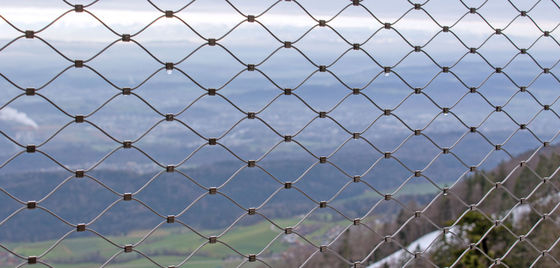 건축 다이아몬드 유연 스크린 동물원 동물 인클로저 안전을 위한 스테인리스 스틸 케이블 로프 메쉬