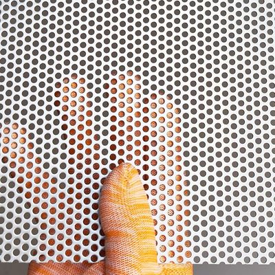 스테인레스 스틸 소 구멍 스피커 그릴 시트를위한 구멍 뚫린  Mesh