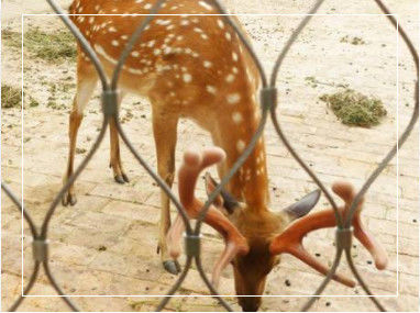 난간 및 동물원 울타리를 위한 맞춤형 경계 치수를 갖춘 수제 유연 스테인리스 스틸 로프 메쉬